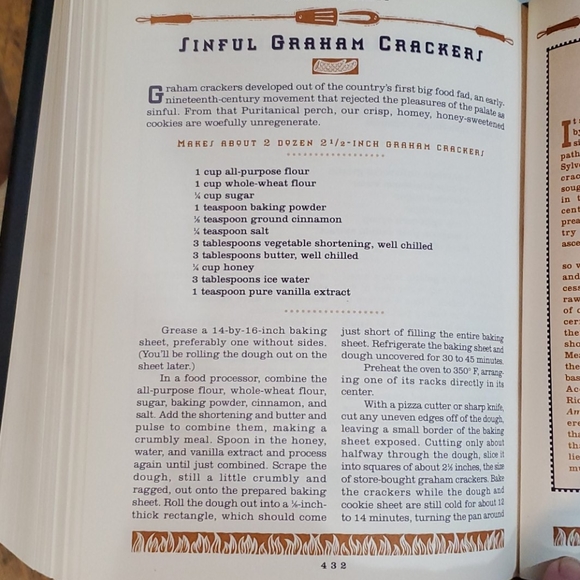 BORN TO GRILL COOKBOOK - Picture 4 of 5